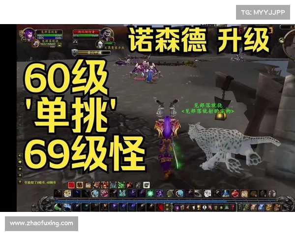 魔兽世界怀旧服：怪物技能点刷新，探寻新的挑战